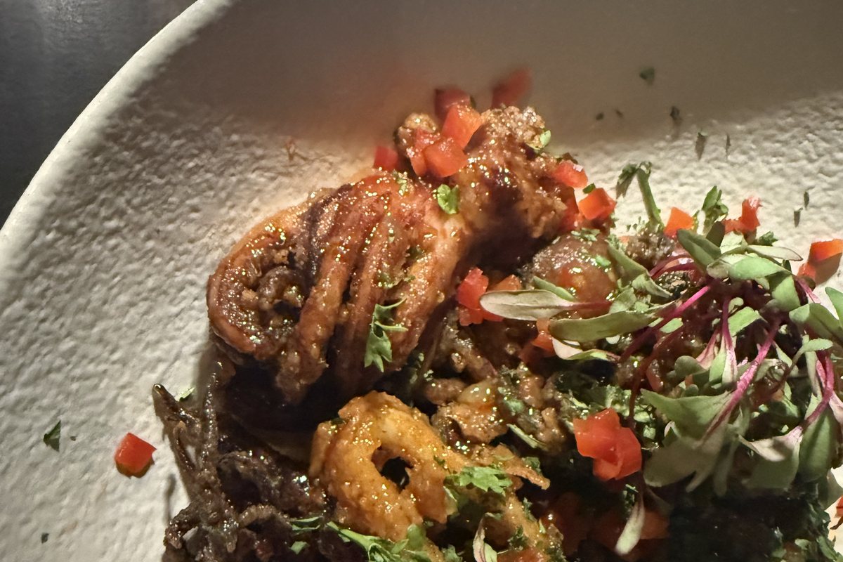 Teller mit frittierten Meeresfrüchten und Kräutersalat