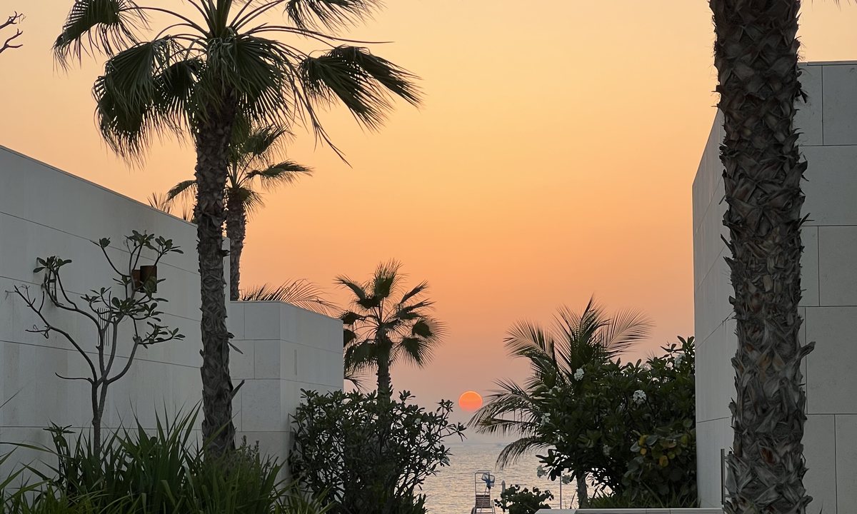 Palmen im Abendlicht, dahinter der Sonnenuntergang über dem Meer